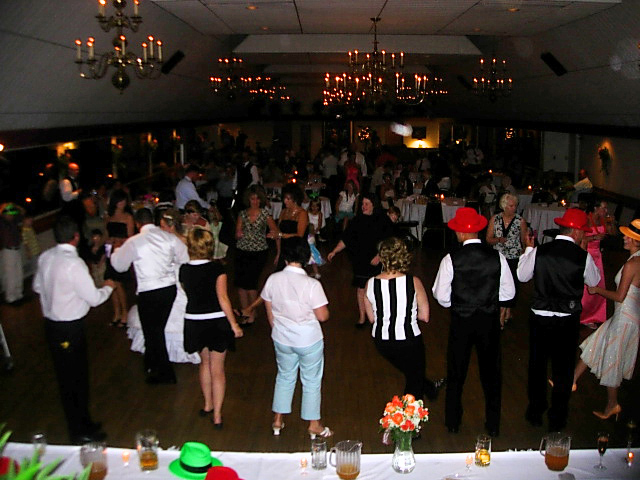 wedding disc jockeys 